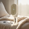 STEAM PET BRUSH