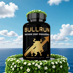 BullRun Ero