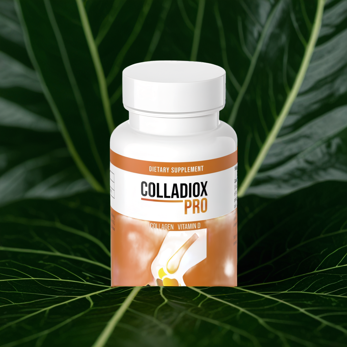 Colladiox