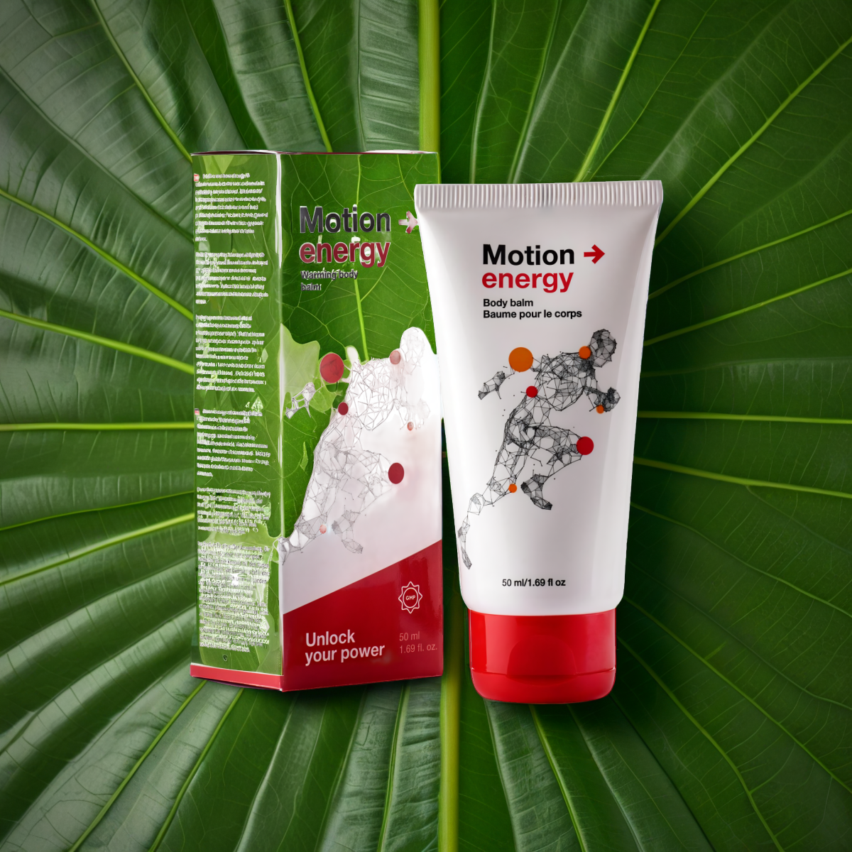 Motion Energy