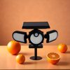SOLAR INDUCTION LAMP