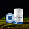 Up Vision