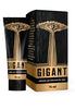 GIGANT