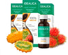 IDEALICA